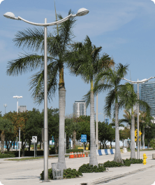 Custom Decorative Arms